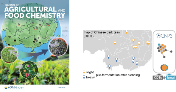 集团凌铁军课题组揭示中国黑茶中微生物和非挥发物化学多样性的决定因子